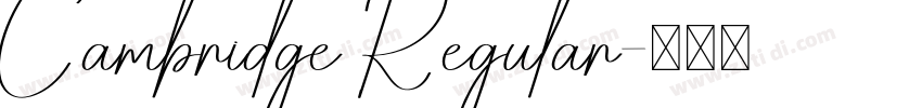 Cambridge Regular字体转换